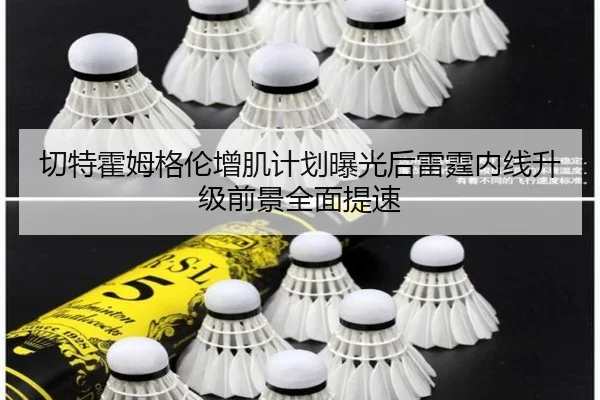 切特霍姆格伦增肌计划曝光后雷霆内线升级前景全面提速